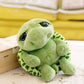 Peluche en forme de tortue pour bébé